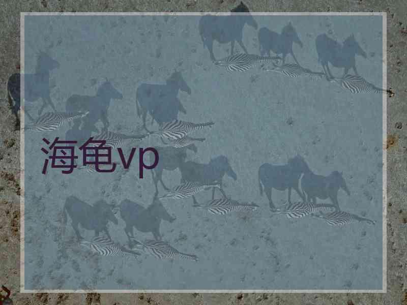 海龟vp