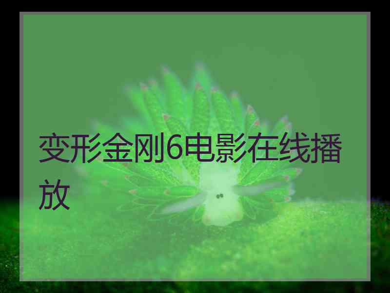 变形金刚6电影在线播放