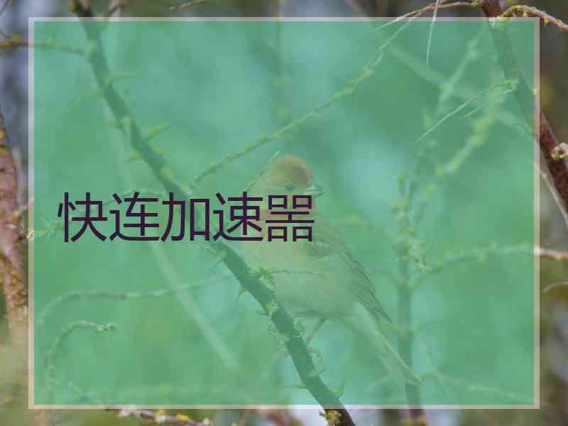 快连加速噐