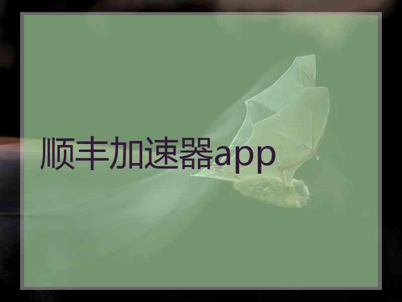 顺丰加速器app