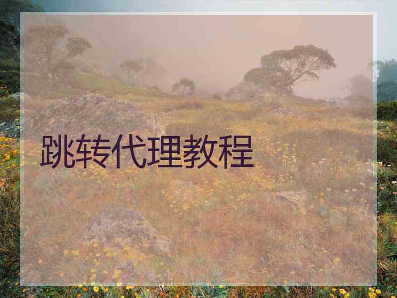 跳转代理教程