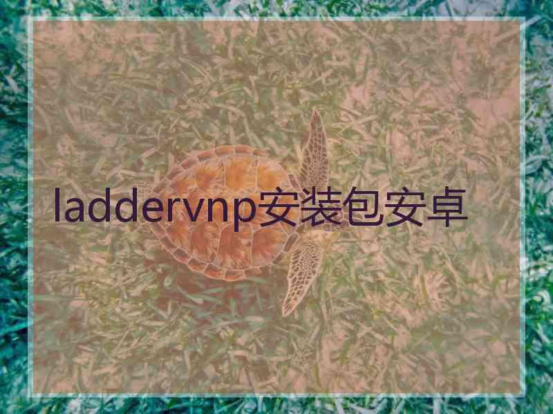 laddervnp安装包安卓