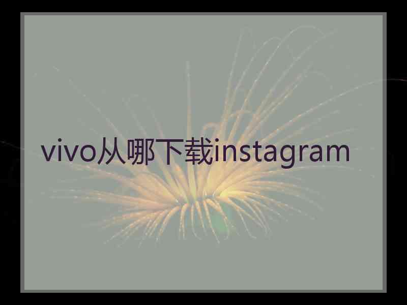 vivo从哪下载instagram