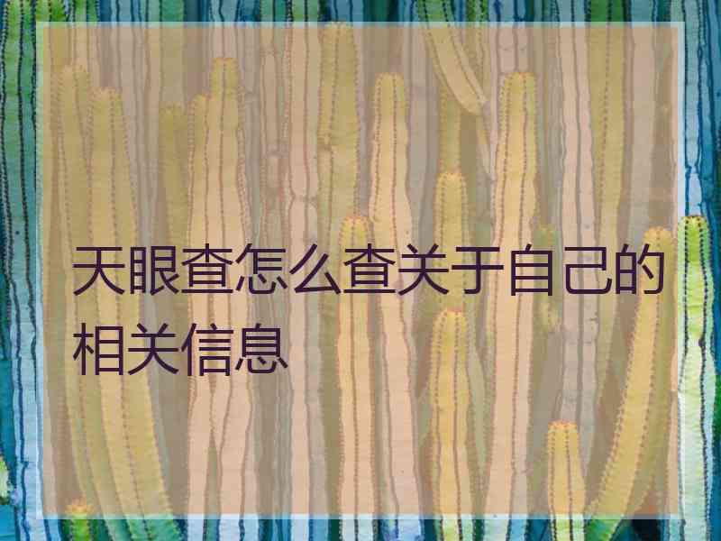 天眼查怎么查关于自己的相关信息