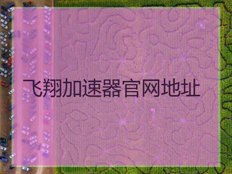 飞翔加速器官网地址