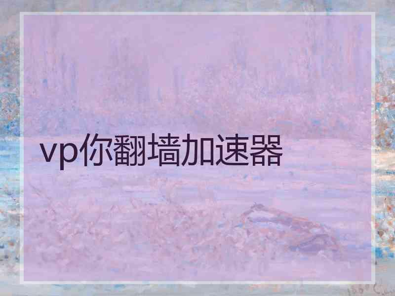 vp你翻墙加速器