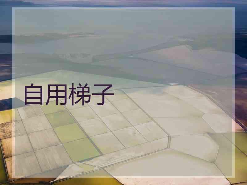 自用梯子