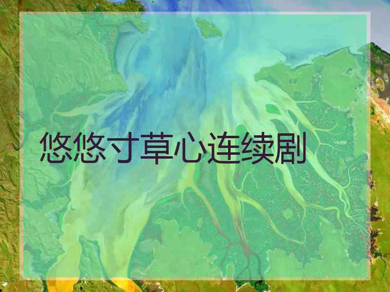 悠悠寸草心连续剧
