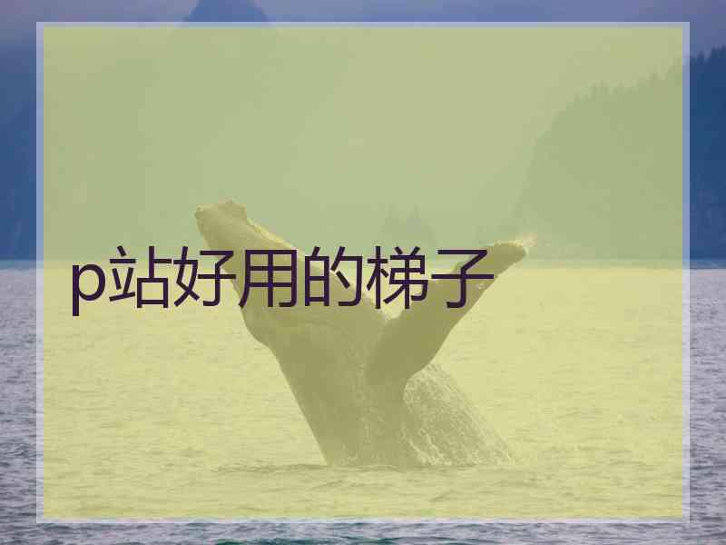 p站好用的梯子