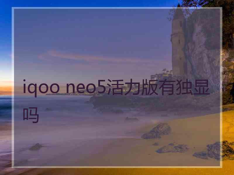iqoo neo5活力版有独显吗