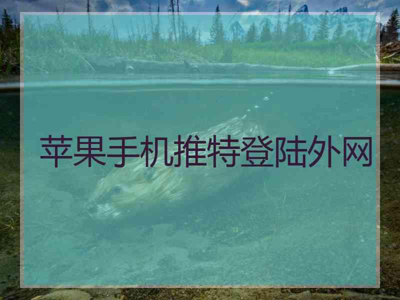 苹果手机推特登陆外网