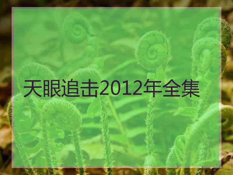 天眼追击2012年全集