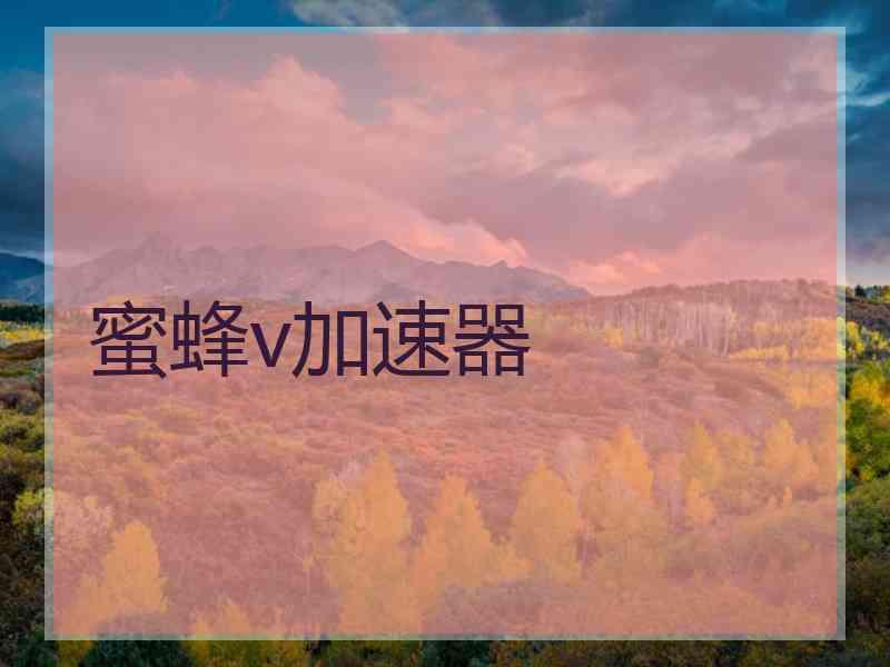 蜜蜂v加速器