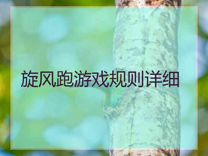 旋风跑游戏规则详细