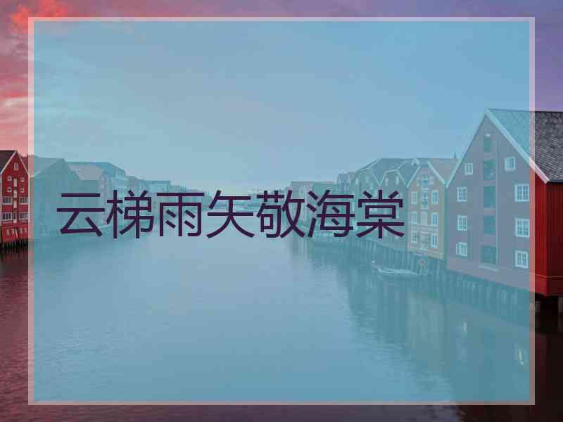 云梯雨矢敬海棠