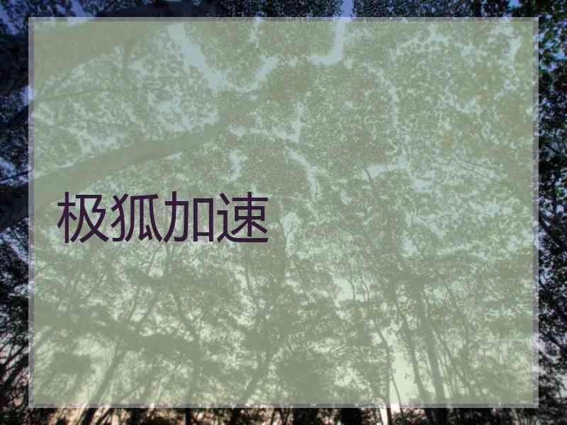极狐加速