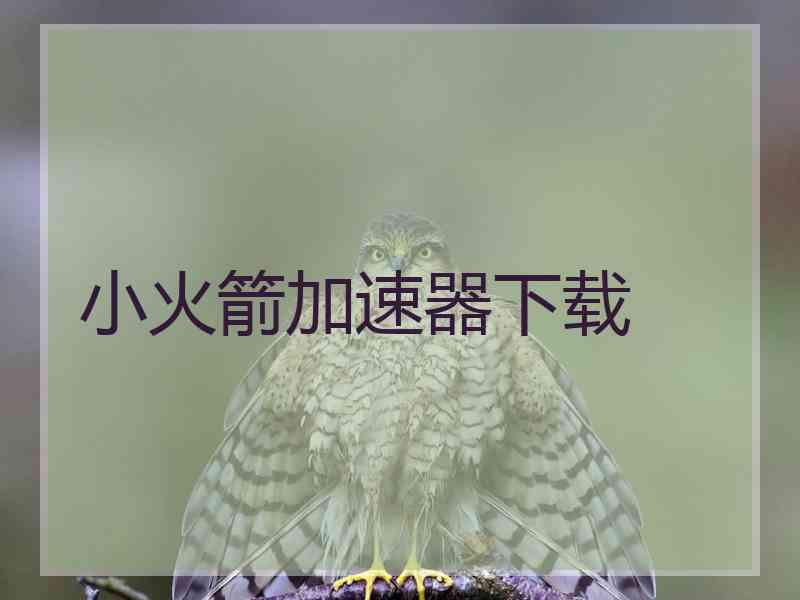 小火箭加速器下载