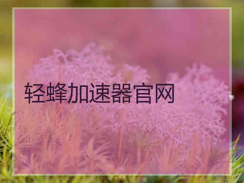 轻蜂加速器官网