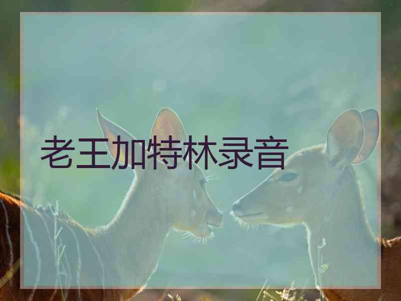 老王加特林录音