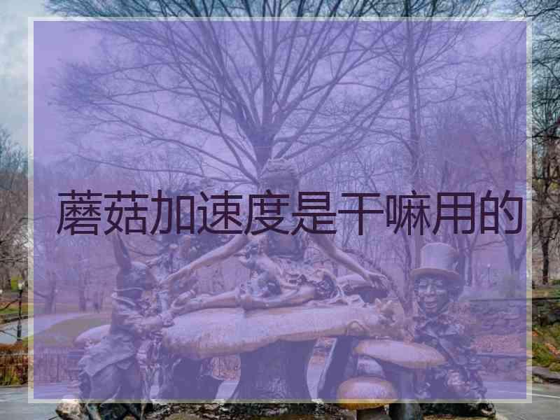 蘑菇加速度是干嘛用的