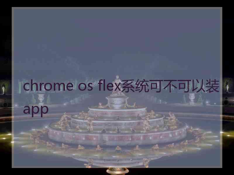 chrome os flex系统可不可以装app