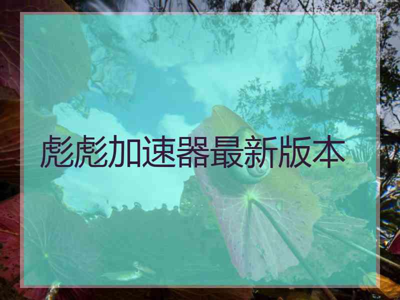 彪彪加速器最新版本