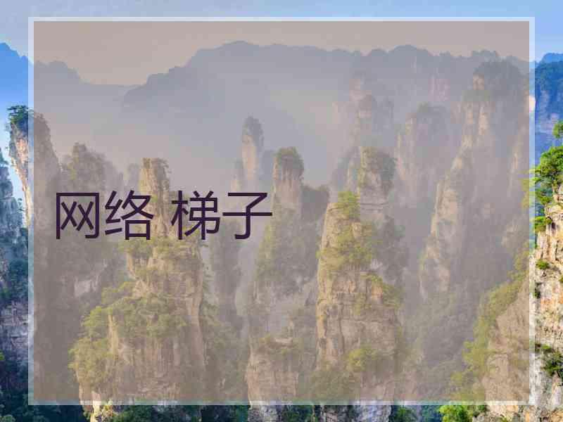 网络 梯子