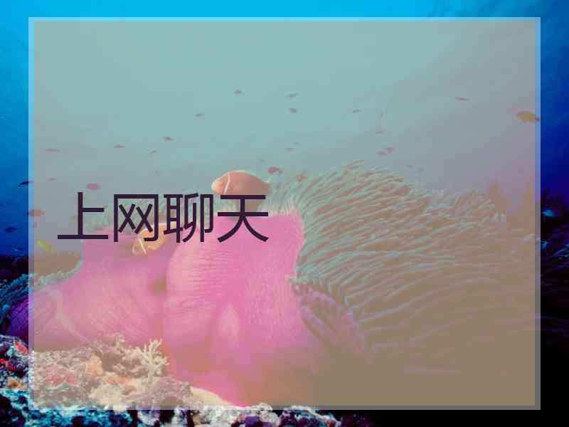 上网聊天