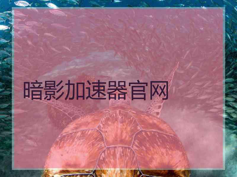 暗影加速器官网