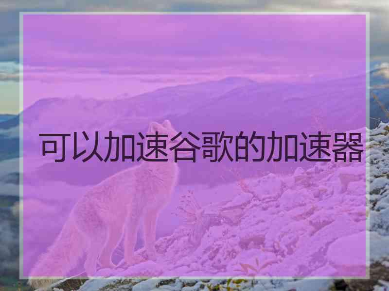 可以加速谷歌的加速器