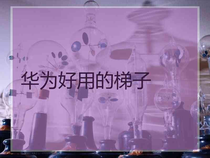 华为好用的梯子