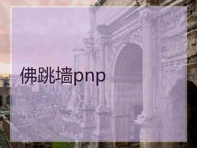 佛跳墙pnp