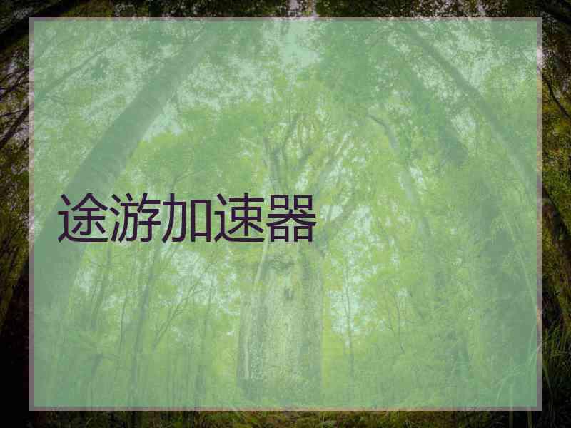 途游加速器