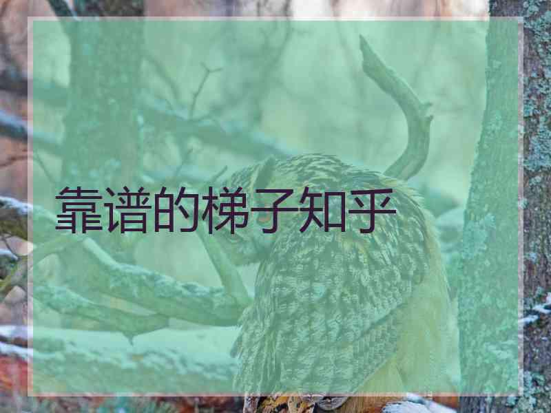 靠谱的梯子知乎