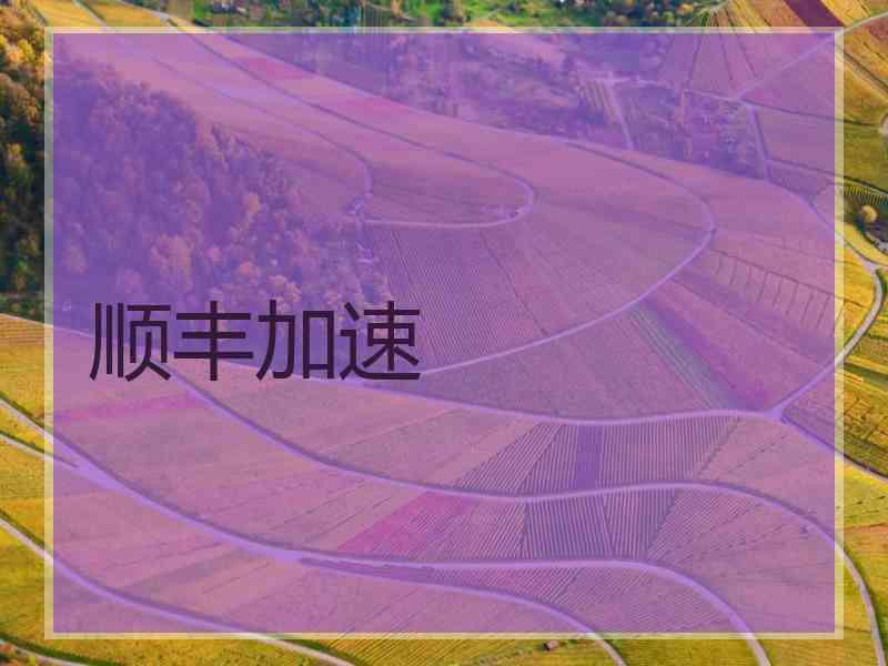 顺丰加速