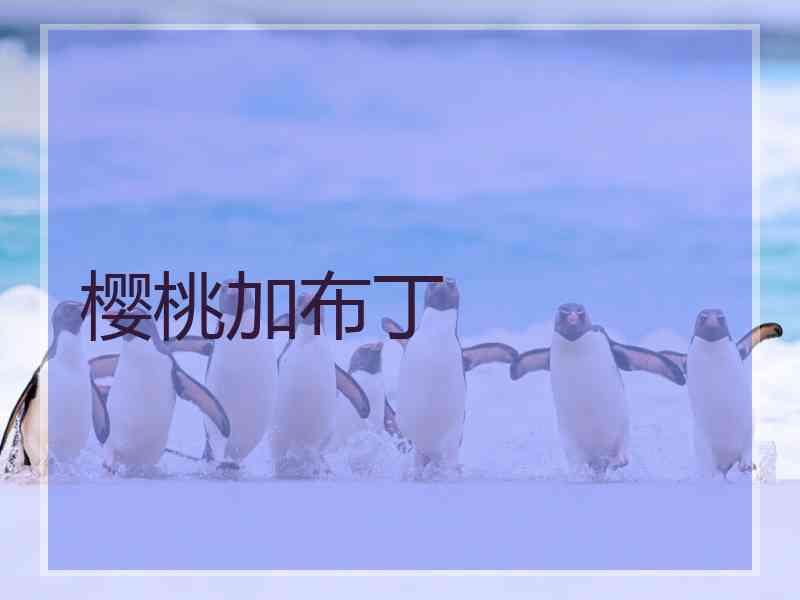 樱桃加布丁