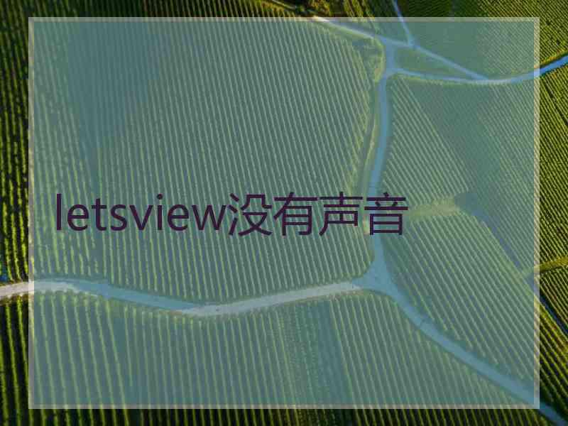 letsview没有声音