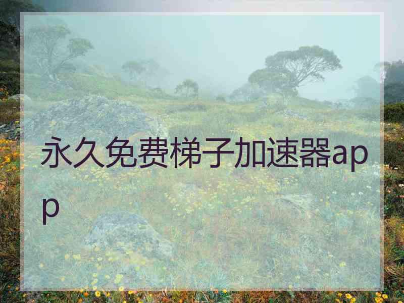 永久免费梯子加速器app