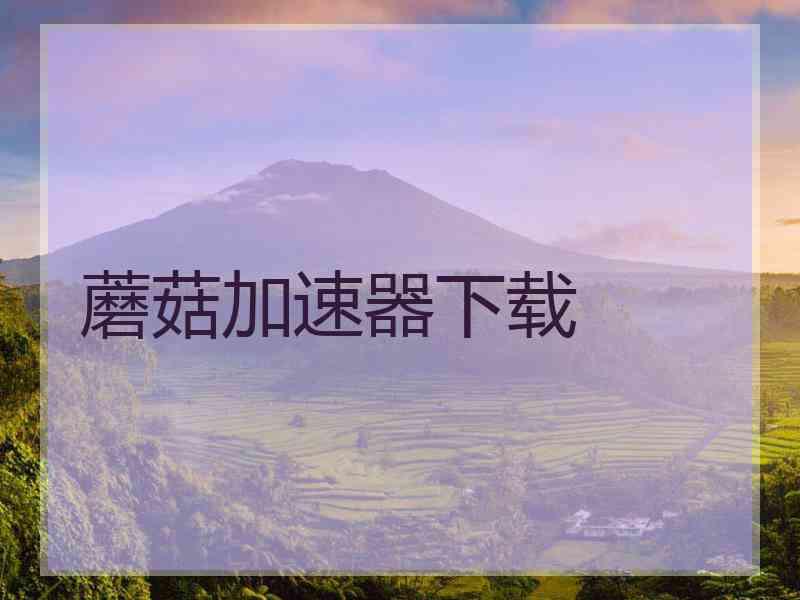 蘑菇加速器下载