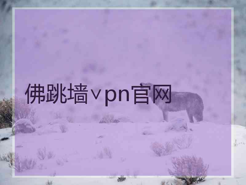 佛跳墙∨pn官网