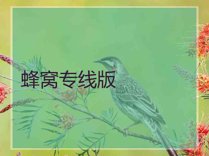 蜂窝专线版