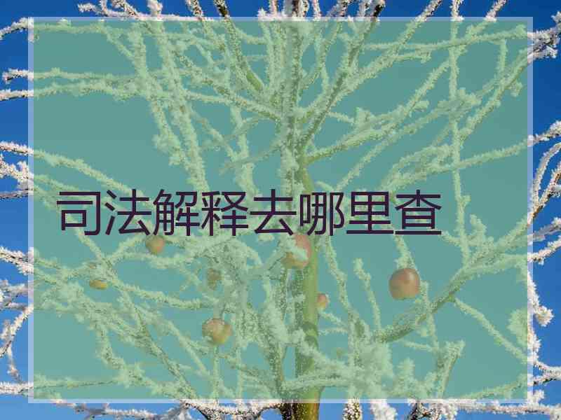 司法解释去哪里查