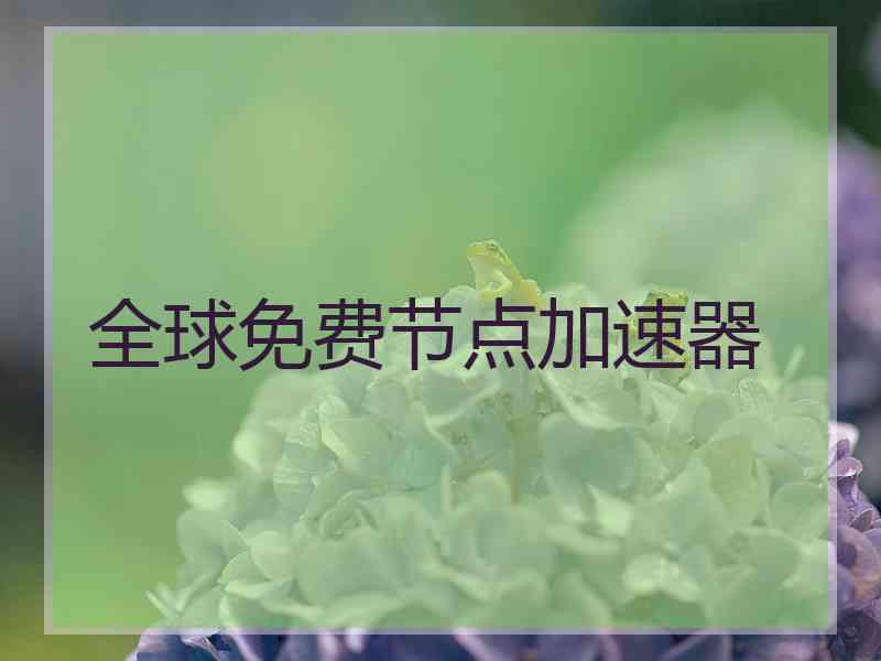 全球免费节点加速器