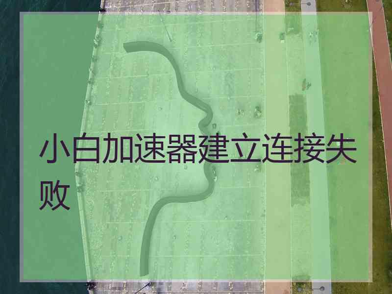 小白加速器建立连接失败