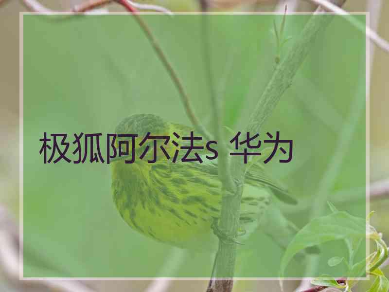 极狐阿尔法s 华为