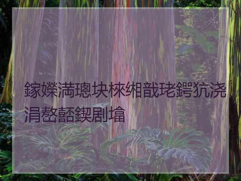鎵嬫満璁块棶缃戠珯鍔犺浇涓嶅嚭鍥剧墖