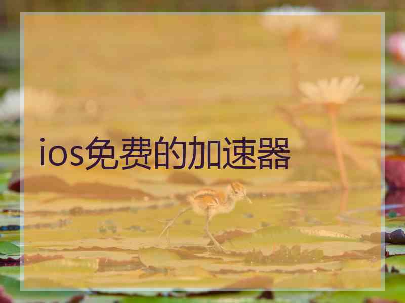 ios免费的加速器