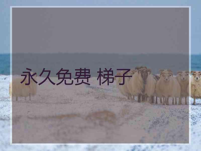 永久免费 梯子