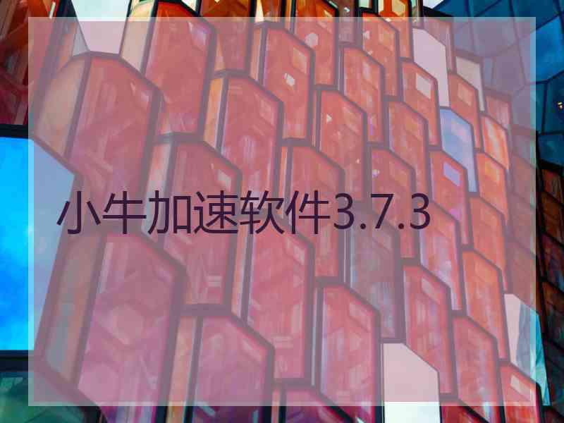 小牛加速软件3.7.3