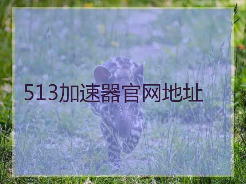 513加速器官网地址